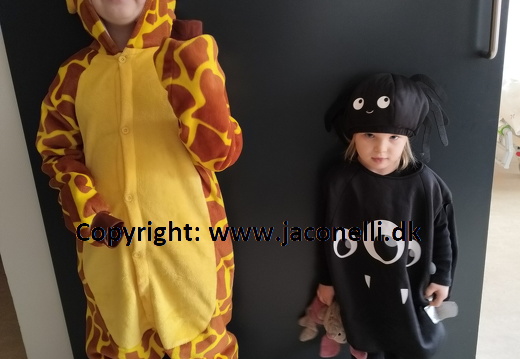 IMG20250301101434 (276 besøg) IMG20250301101434